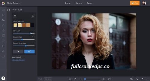 FastStone Photo Resizer 4.6 Crack With Torrent Download [2024]
